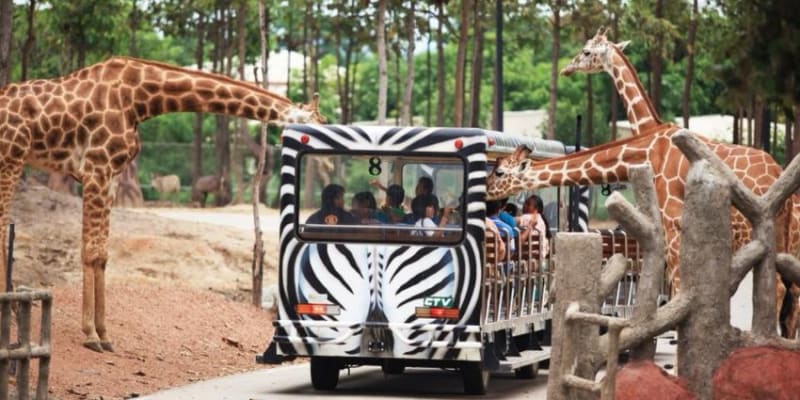 Chiang Mai Night Safari Tickets