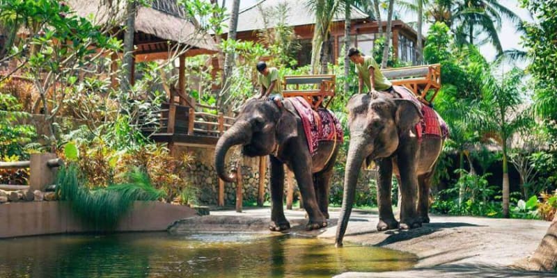 Lombok Wildlife Park Tickets