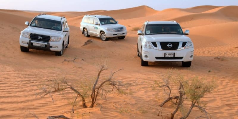 Desert Safari Sharjah Tours