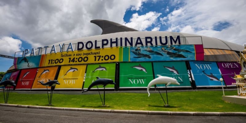 Dolphinarium Pattaya Tickets