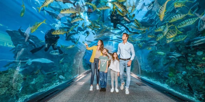 Dubai Aquarium Tickets