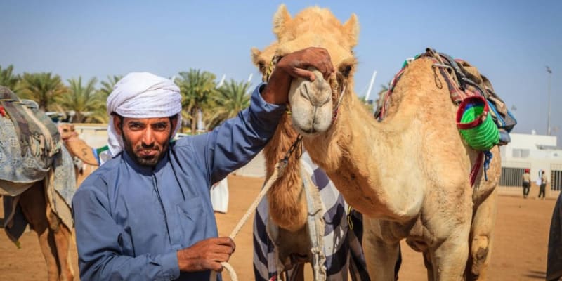 Dubai Camel Racing Club Tickets