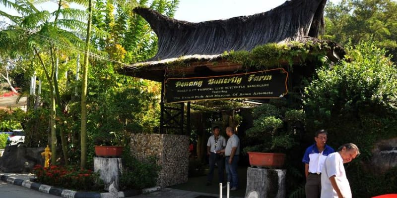 Entopia By Penang Butterfly Farm Tickets