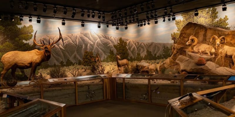 Las Vegas Natural History Museum Tickets