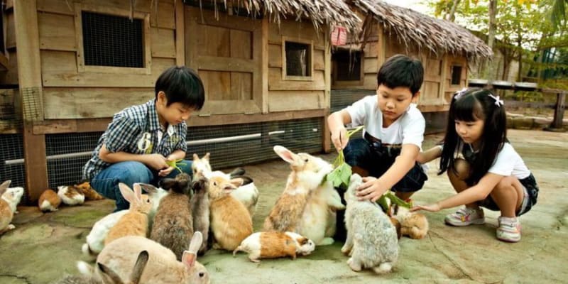 Farm in the City Tickets