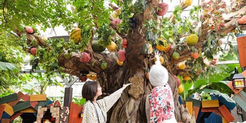 Okinawa Fruits Land Tickets