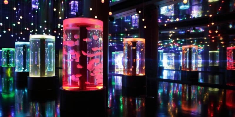 A Group Of Jellyfish Swimming In A Tank With Colorful Lights Hanging From The Ceiling.