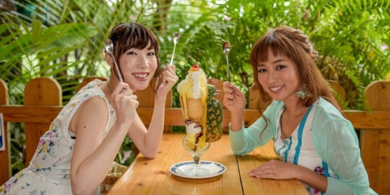 Nago Pineapple Park Tickets