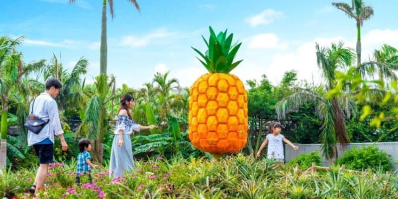 Nago Pineapple Park Tickets