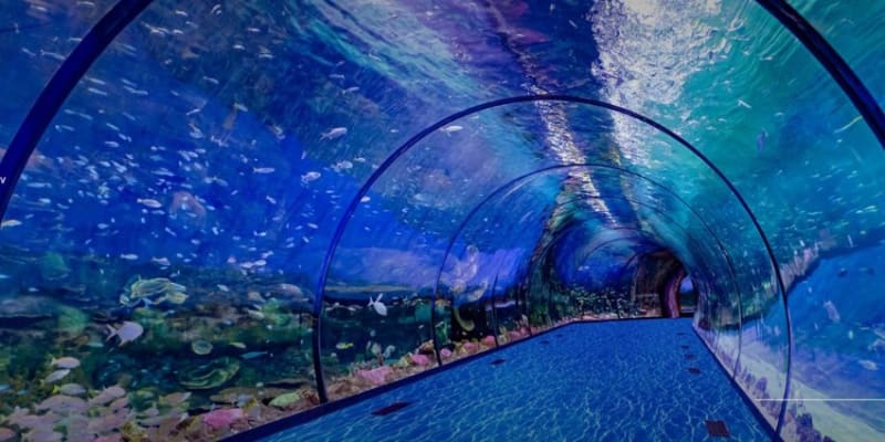 The National Aquarium Abu Dhabi Tickets