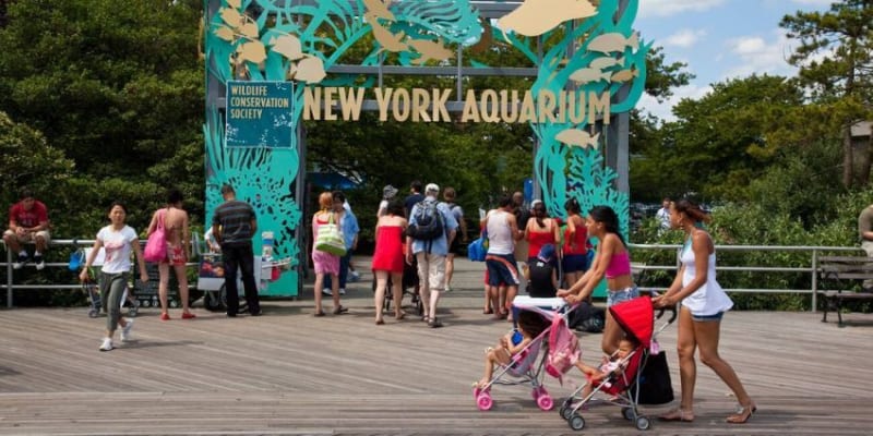 New York Aquarium Tickets