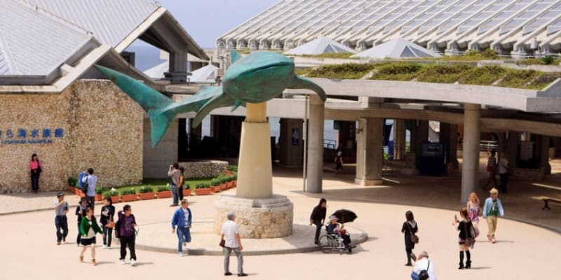 A Life-sized Whale Shark Statue Stands Majestically In Front Of The Okinawa Churaumi Aquarium.
