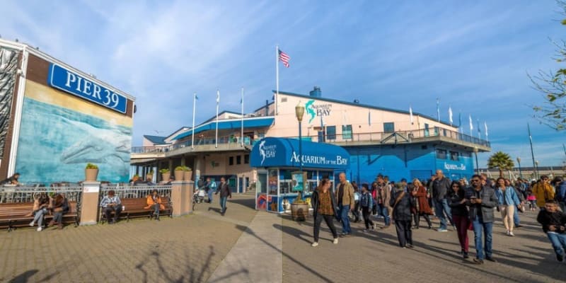 Aquarium of the Bay Tickets