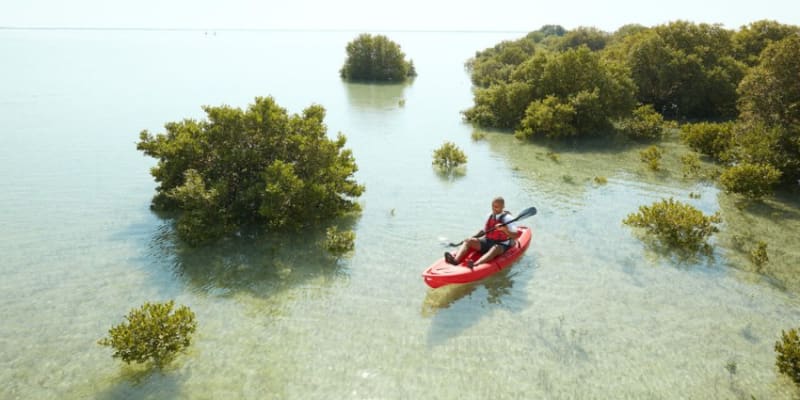 Qatar Mangroves Kayaking Tours
