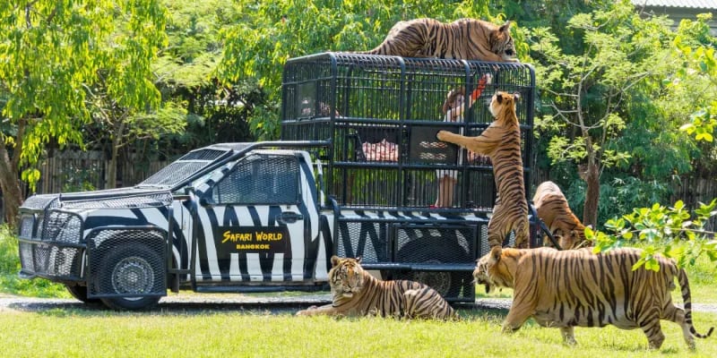 Safari World Bangkok Tickets