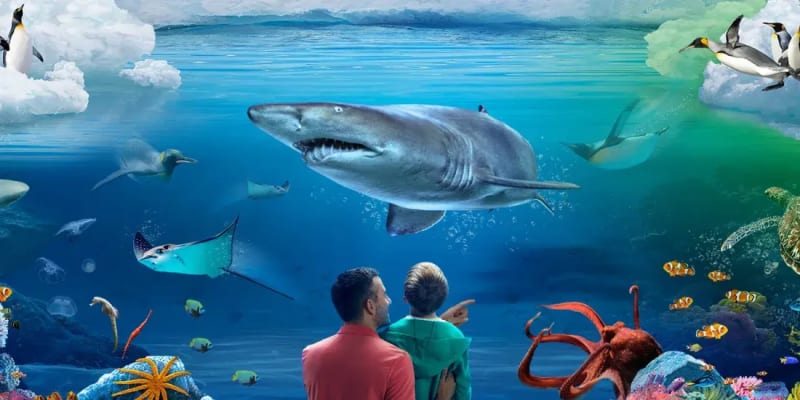 SEA LIFE Kelly Tarlton's Aquarium Auckland Tickets