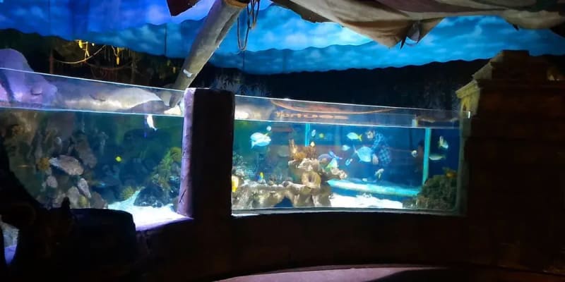 SEA LIFE Paris Aquarium Tickets
