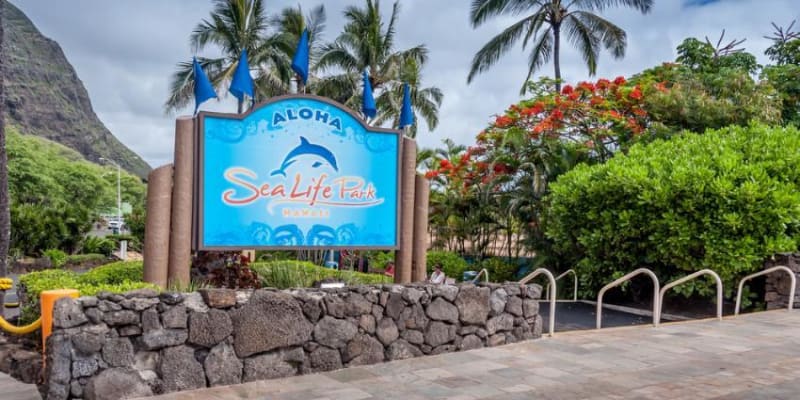 Sea Life Park Hawaii Tickets