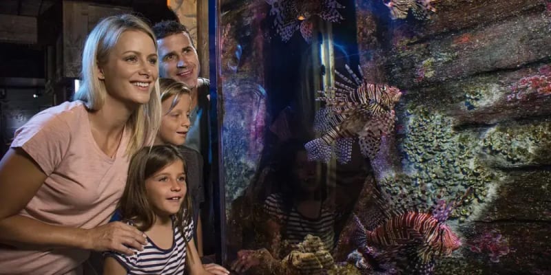 SEA LIFE Sunshine Coast Aquarium Tickets