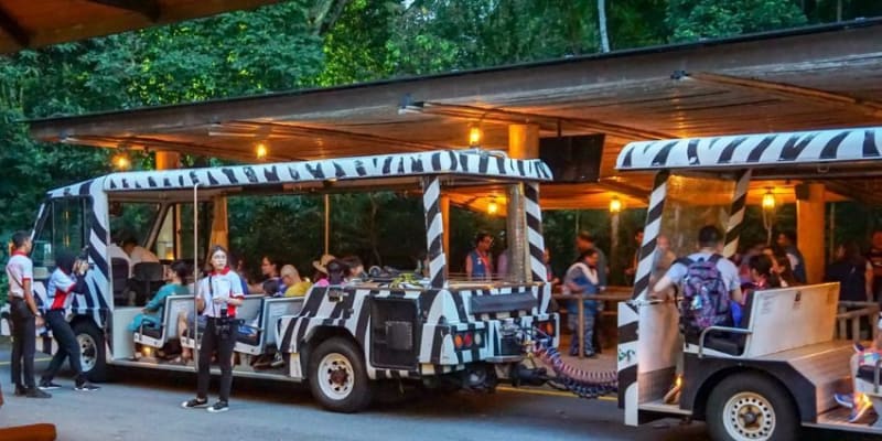 Night Safari Singapore Tickets
