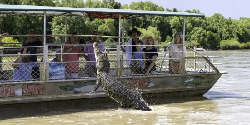 Spectacular Jumping Crocodile Cruise Tickets