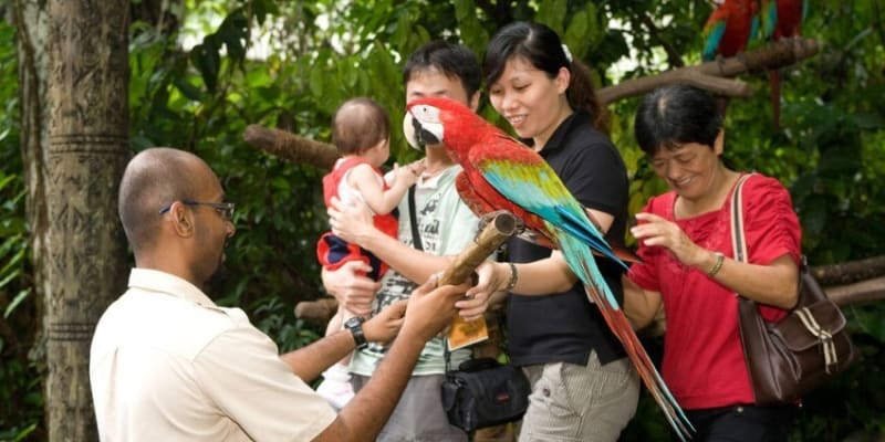 Singapore Zoo Tickets