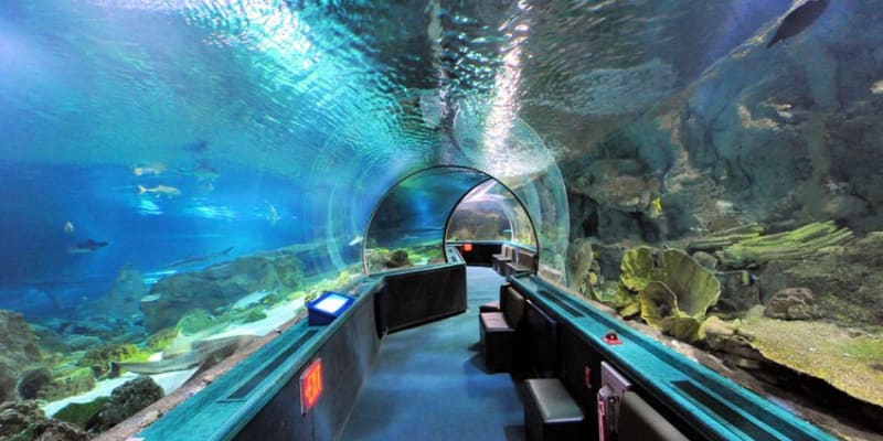 Underwater World Langkawi Tickets