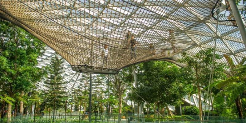 People Walking On The Net That Is Suspended High Above The Ground, Overlooking The Trees And The Greenery.