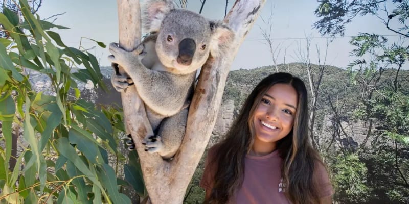 WILD LIFE Sydney Zoo Tickets