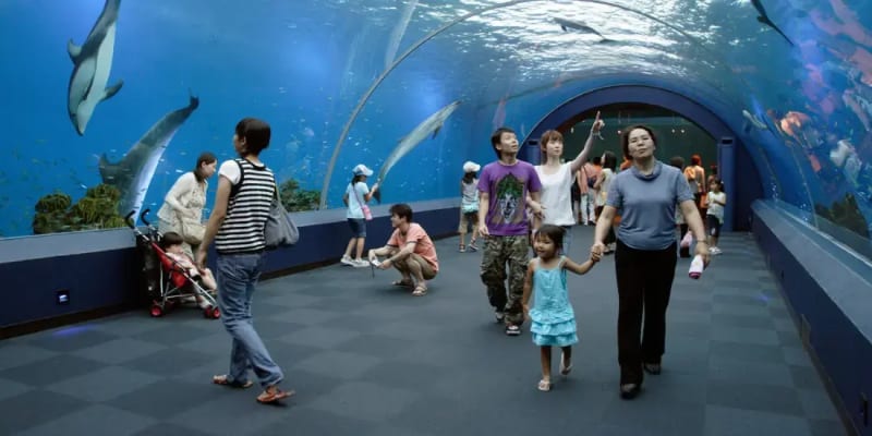 Yokohama Hakkeijima Sea Paradise Tickets