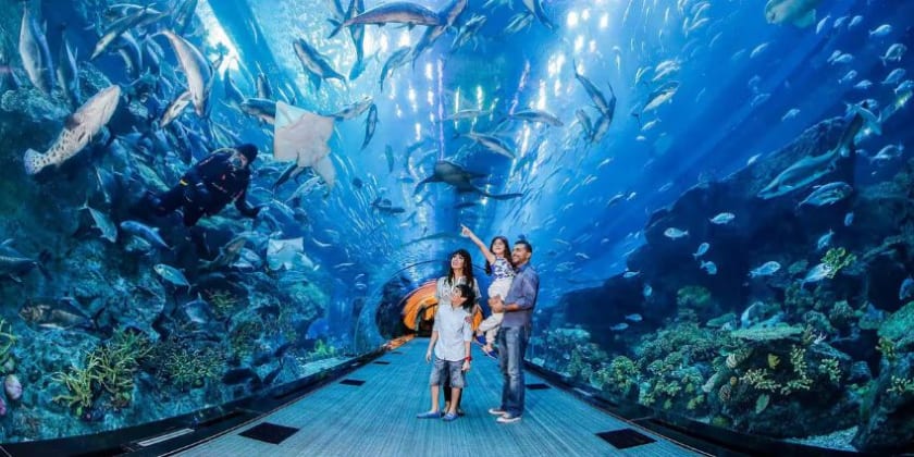 Dubai Aquarium Tickets