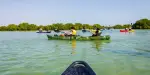 Qatar Mangroves Kayaking Tours