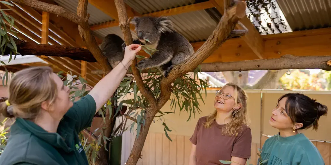 Adelaide Zoo Tickets