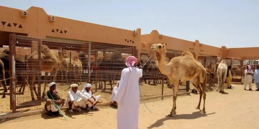 Al Ain City Tours