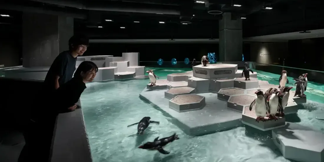 AOAO SAPPORO Tickets