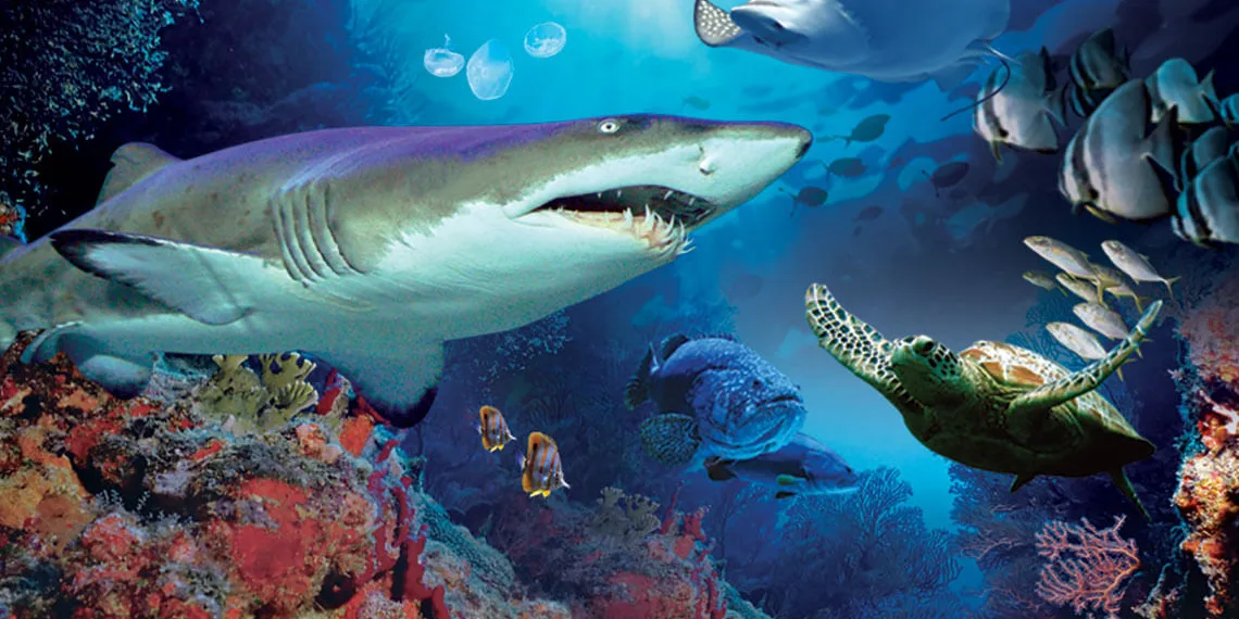 Aquaria KLCC Tickets