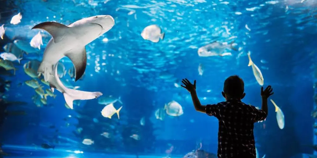 Aquarium of Lyon Tickets