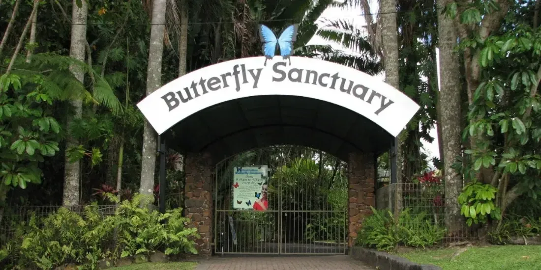 Australian Butterfly Sanctuary Tickets