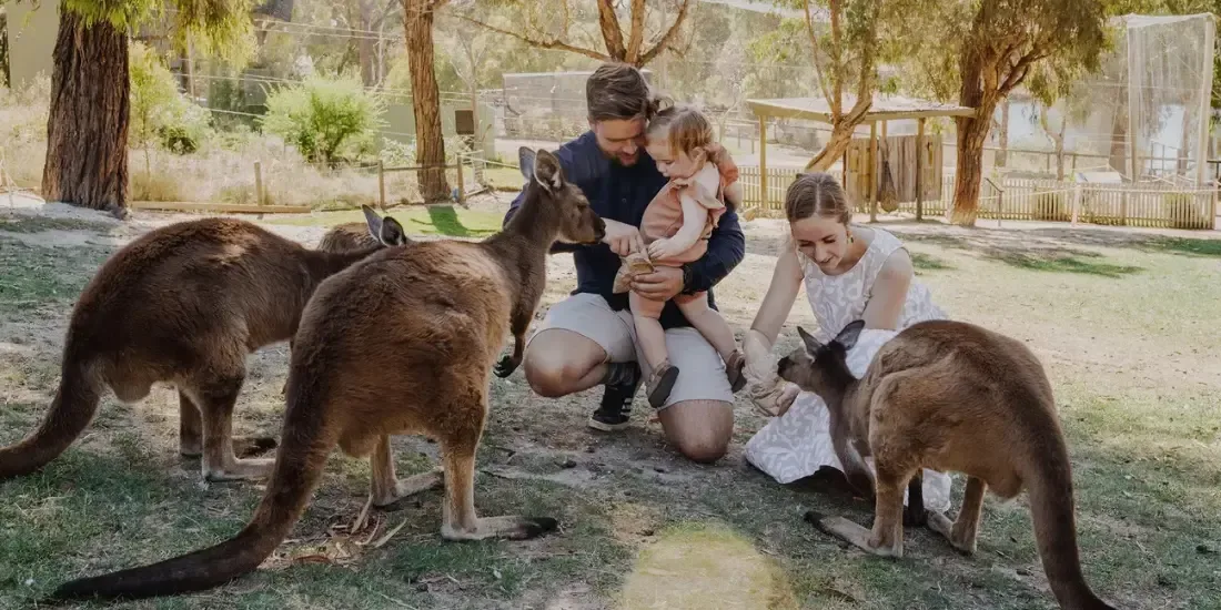 Ballarat Wildlife Park Tickets