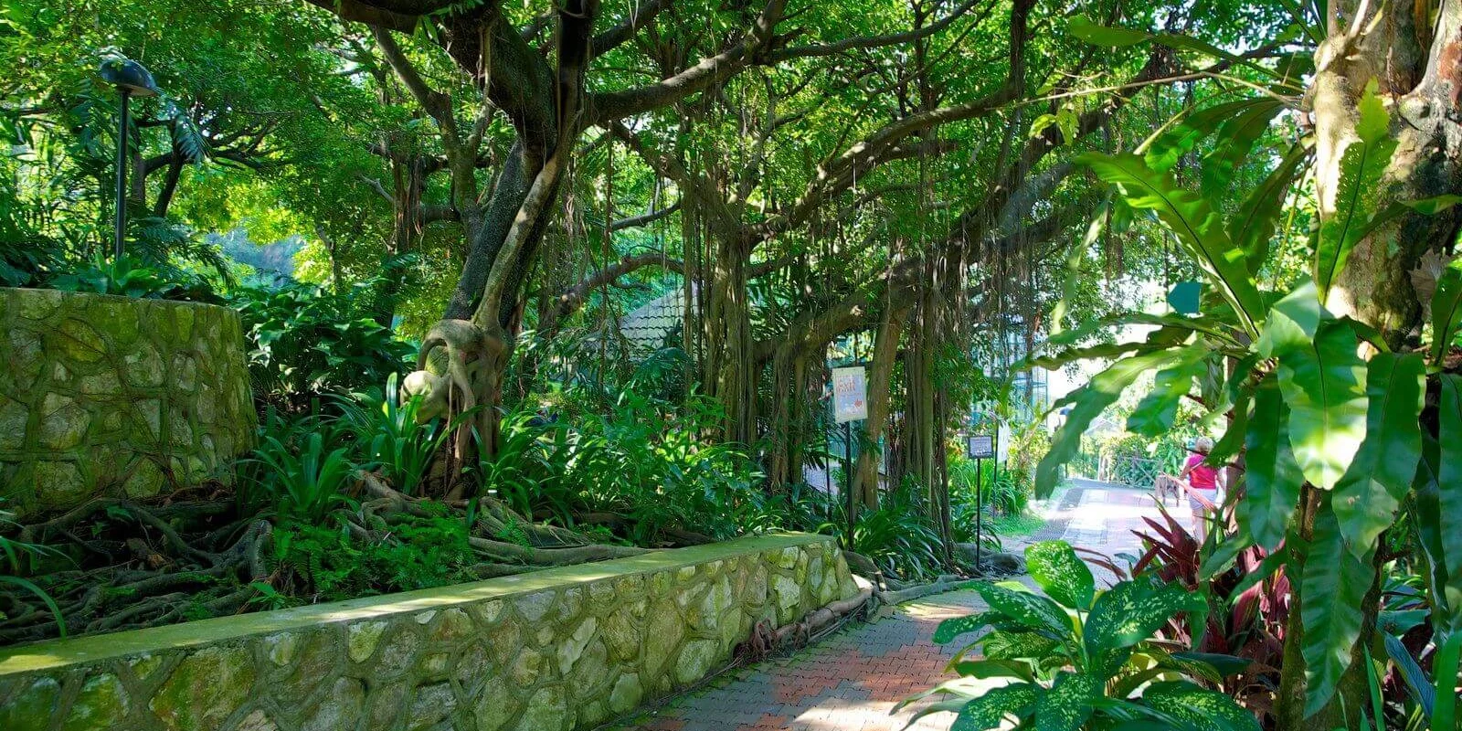 Kuala Lumpur Bird Park Tickets