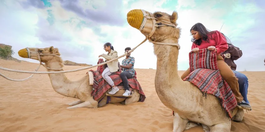 Camel Trekking in Ras Al Khaimah Tours