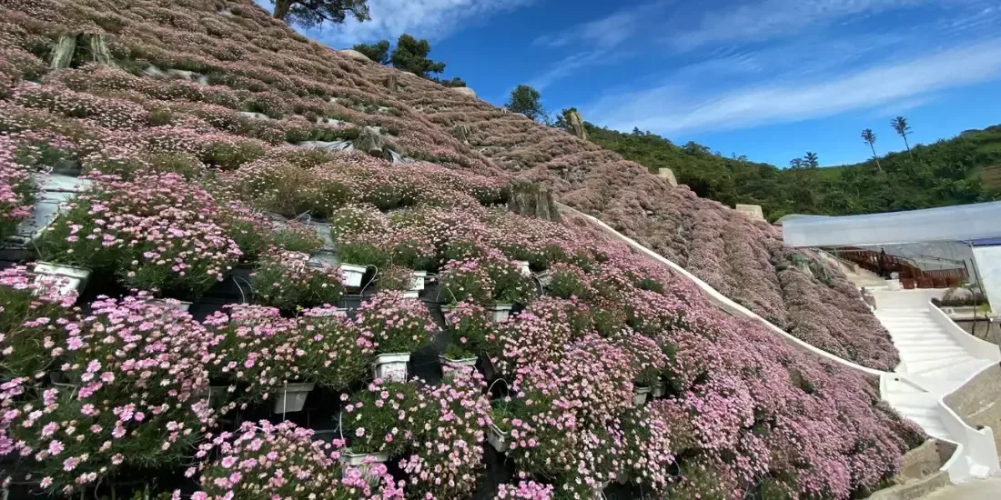 Cameron Highlands Flora Park Tickets