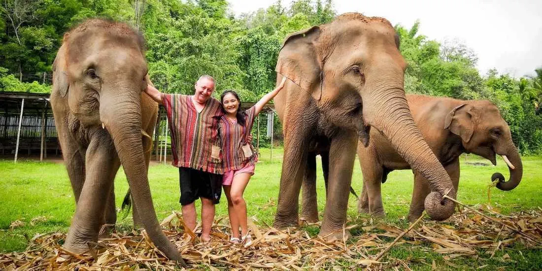 Elephant Jungle Sanctuary Chiang Mai Tours