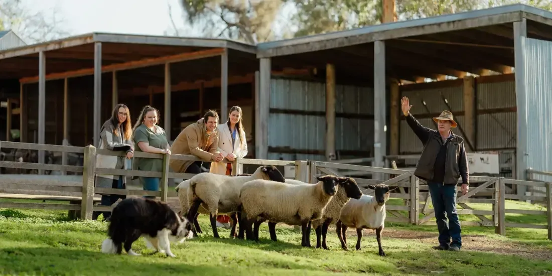 Churchill Island Tickets