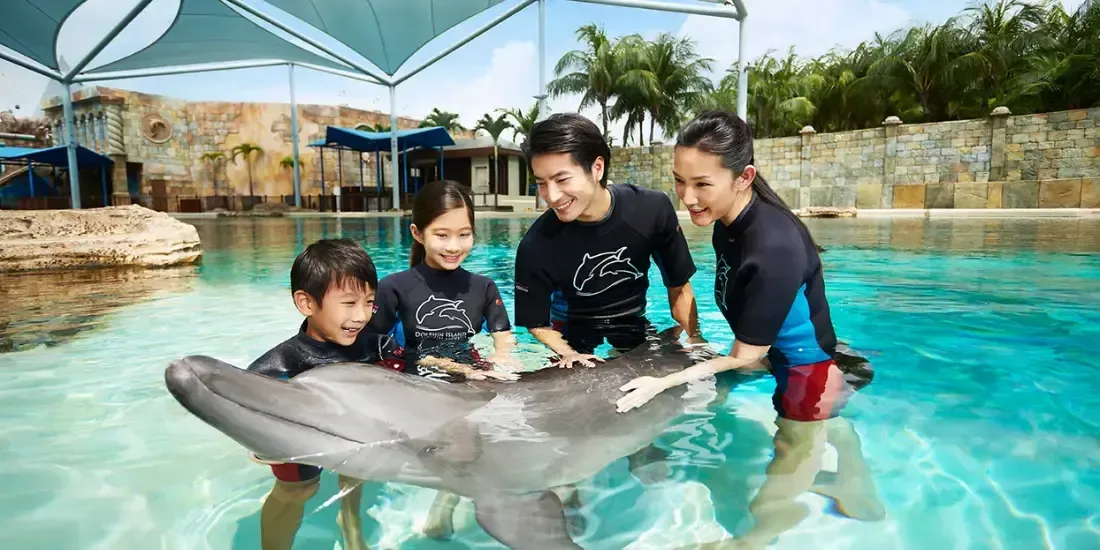 Dolphin Island Singapore Tickets
