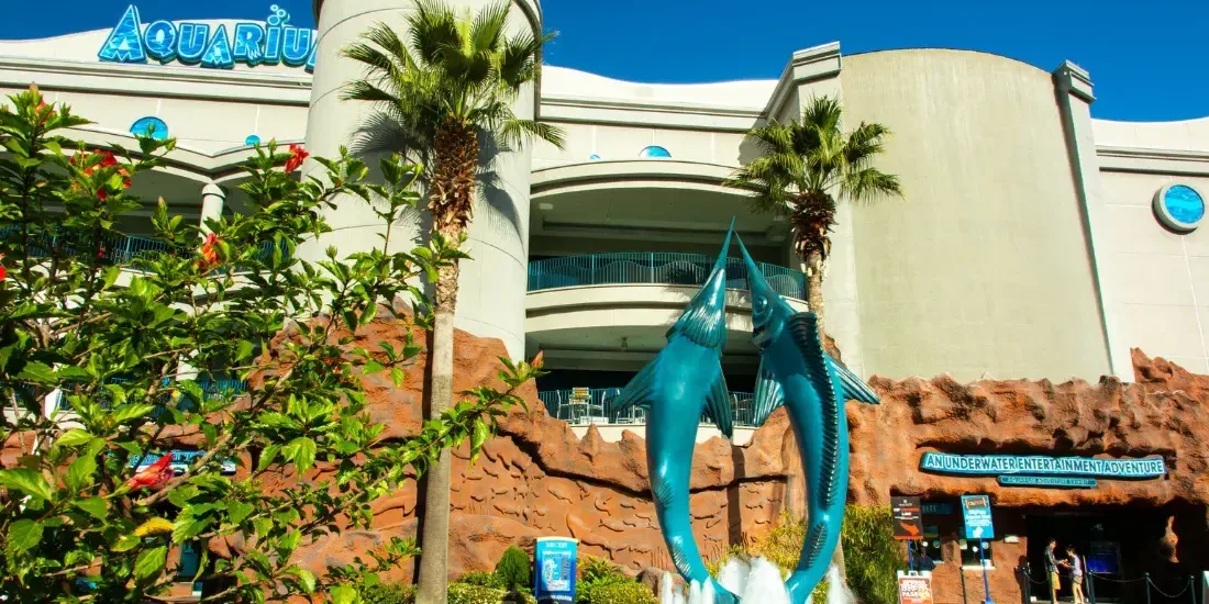 Downtown Aquarium Houston Tickets