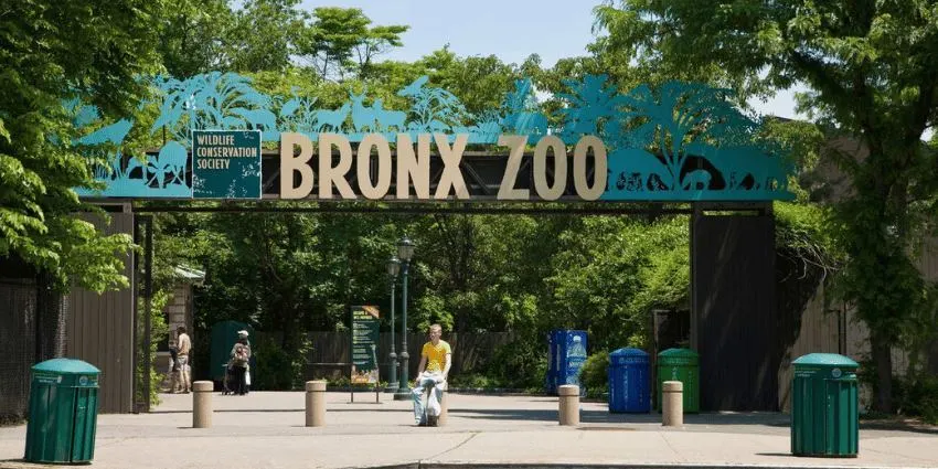 Bronx Zoo Tickets