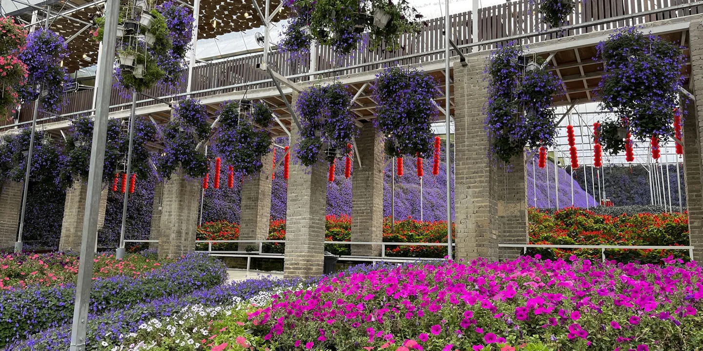 Cameron Highlands Flora Park Tickets