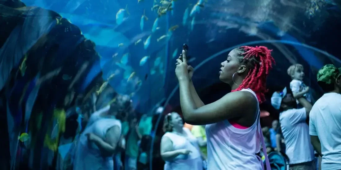 Georgia Aquarium Tickets