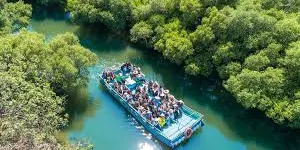 Sicao Green Tunnel Tickets